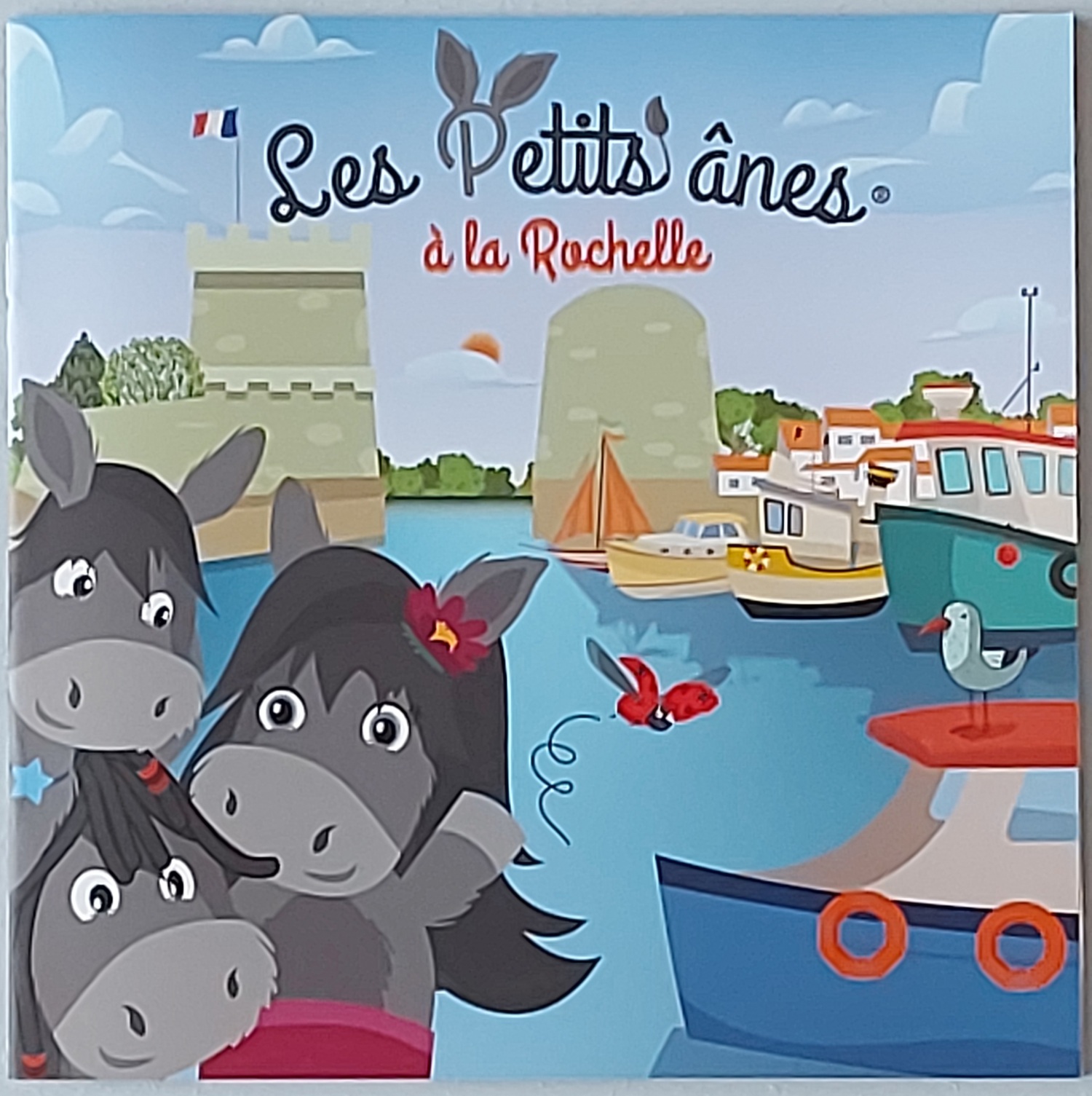 Livre Île de Ré