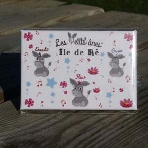 MAGNET BÉBÉS ÂNES