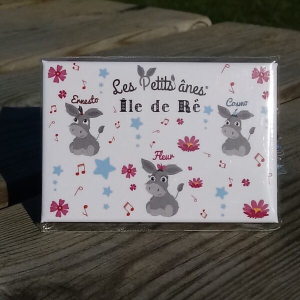 MAGNET BÉBÉS ÂNES 3